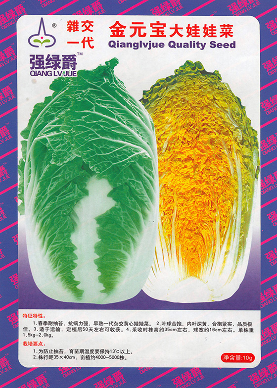 金元宝大娃娃菜