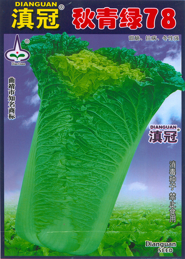 秋青绿78