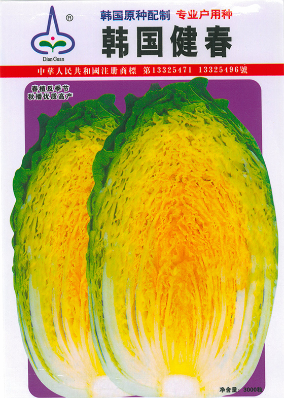 韩国健春