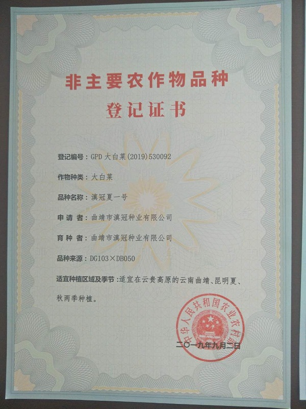 非主要农作物品种登记证书-滇冠夏一号
