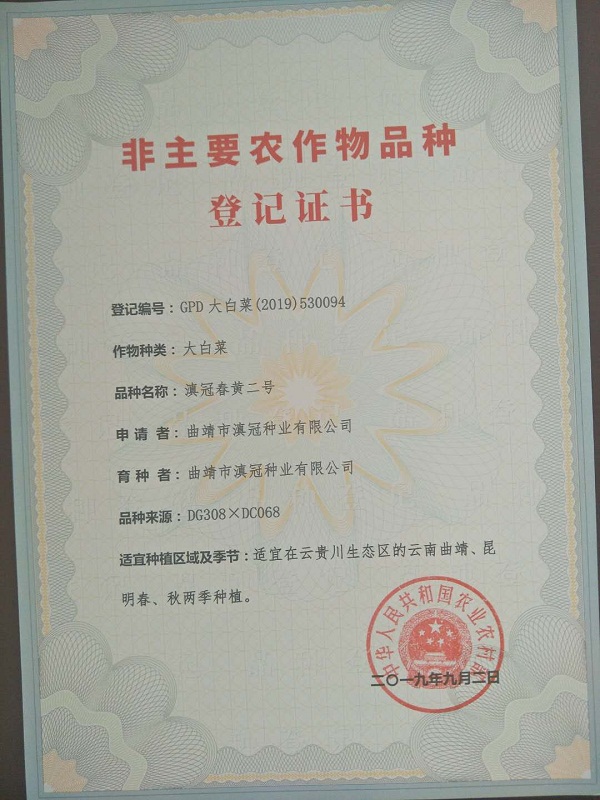 非主要农作物品种登记证书-滇冠春黄二号