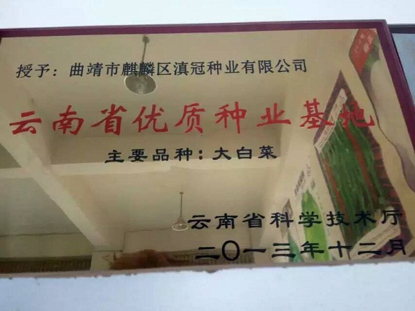 云南省优质种子基地