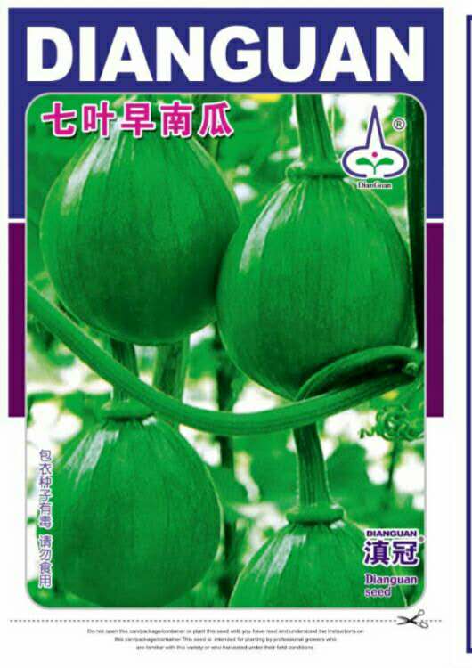 滇冠-七叶早南瓜