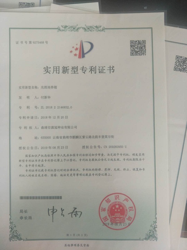 实用新型专利证书-光照培养箱